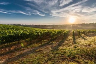 Réchauffement à +1,5°C inévitable, l'influence humaine « indiscutable »