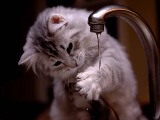 Coupure d'eau dans le secteur de Vienne-Condrieu