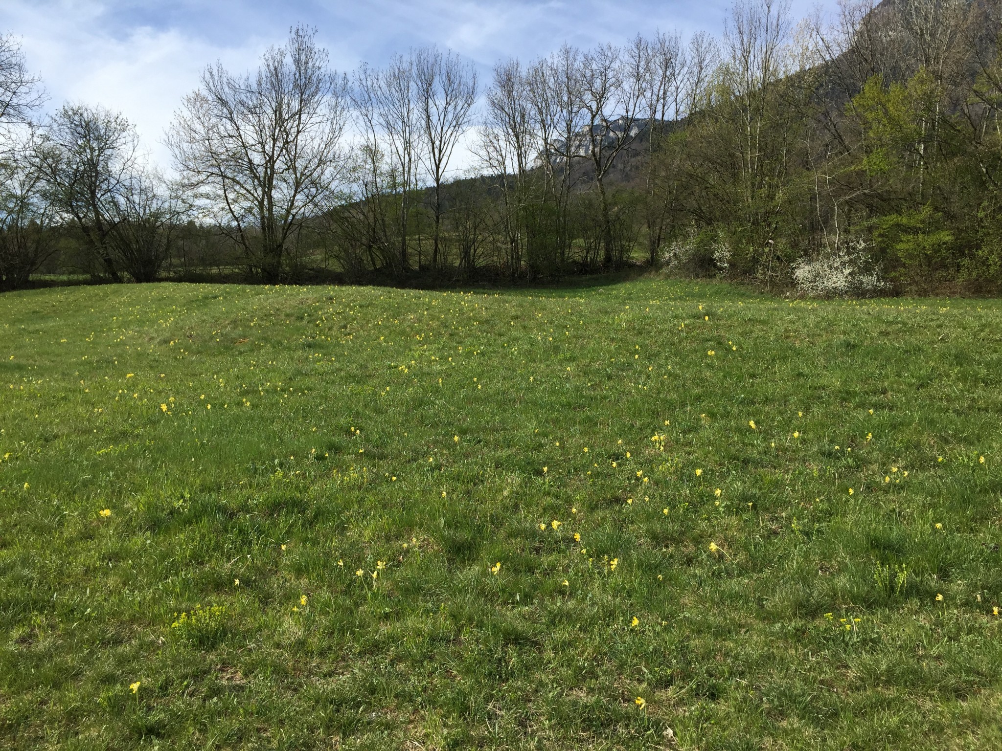 Transition difficile