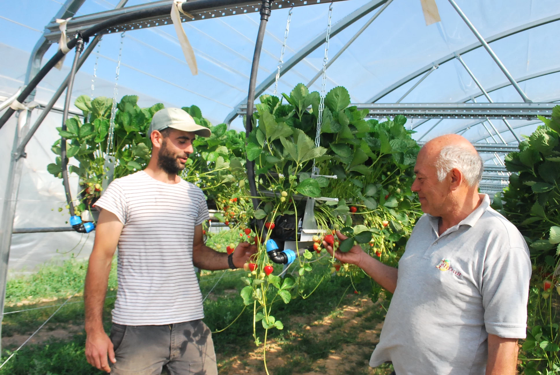 La ferme des cerises de Bougé-Chambalud : changements dans la continuité