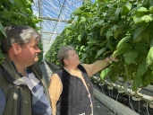 A Bellegarde-Poussieu, place aux fraises et aux tomates