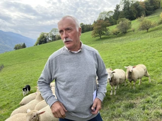Les producteurs de canards et de foie gras isérois en quête de canetons