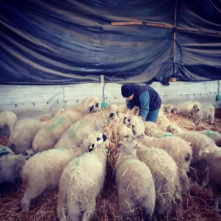 Marché de la Bièvre à la Ferm'Avenir du Bercail