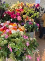 fleurs