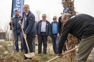 Un million d’arbres dans les villes et les forêts 