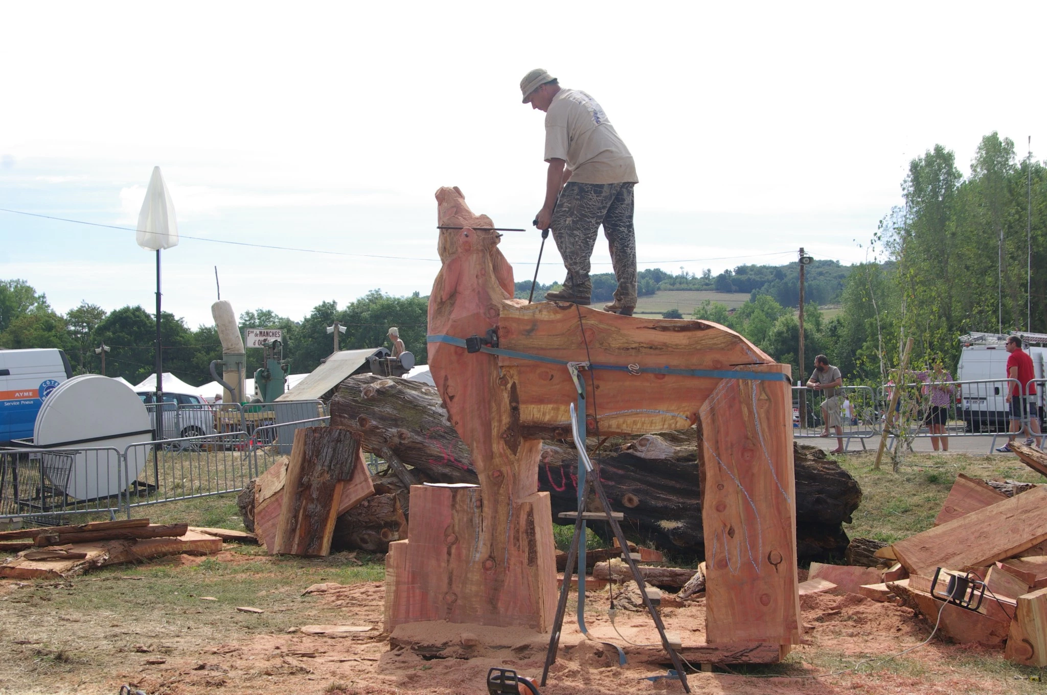 Programme de la Fête de la forêt et du bois