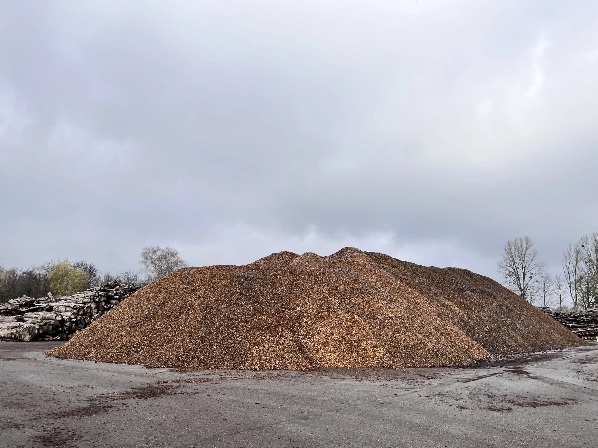 La filière bois en Isère