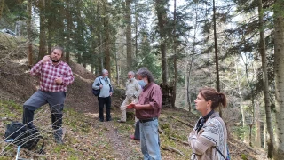 La forêt, un colosse aux pieds d'argile