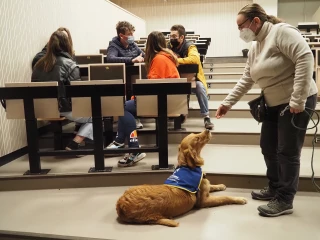 Un apprenti à quatre pattes