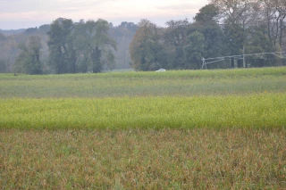 Consultation en cours sur les projets de textes sur les nitrates 