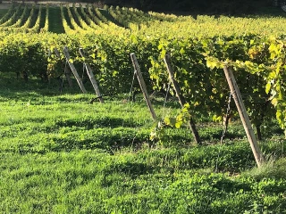 Hectar et l’École 42 vont généraliser la formation de codeur agricole
