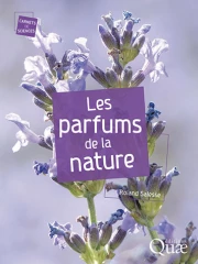 Marcher et respirer