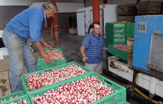 La convention nationale pour l’agriculture entrera en vigueur au 1er avril