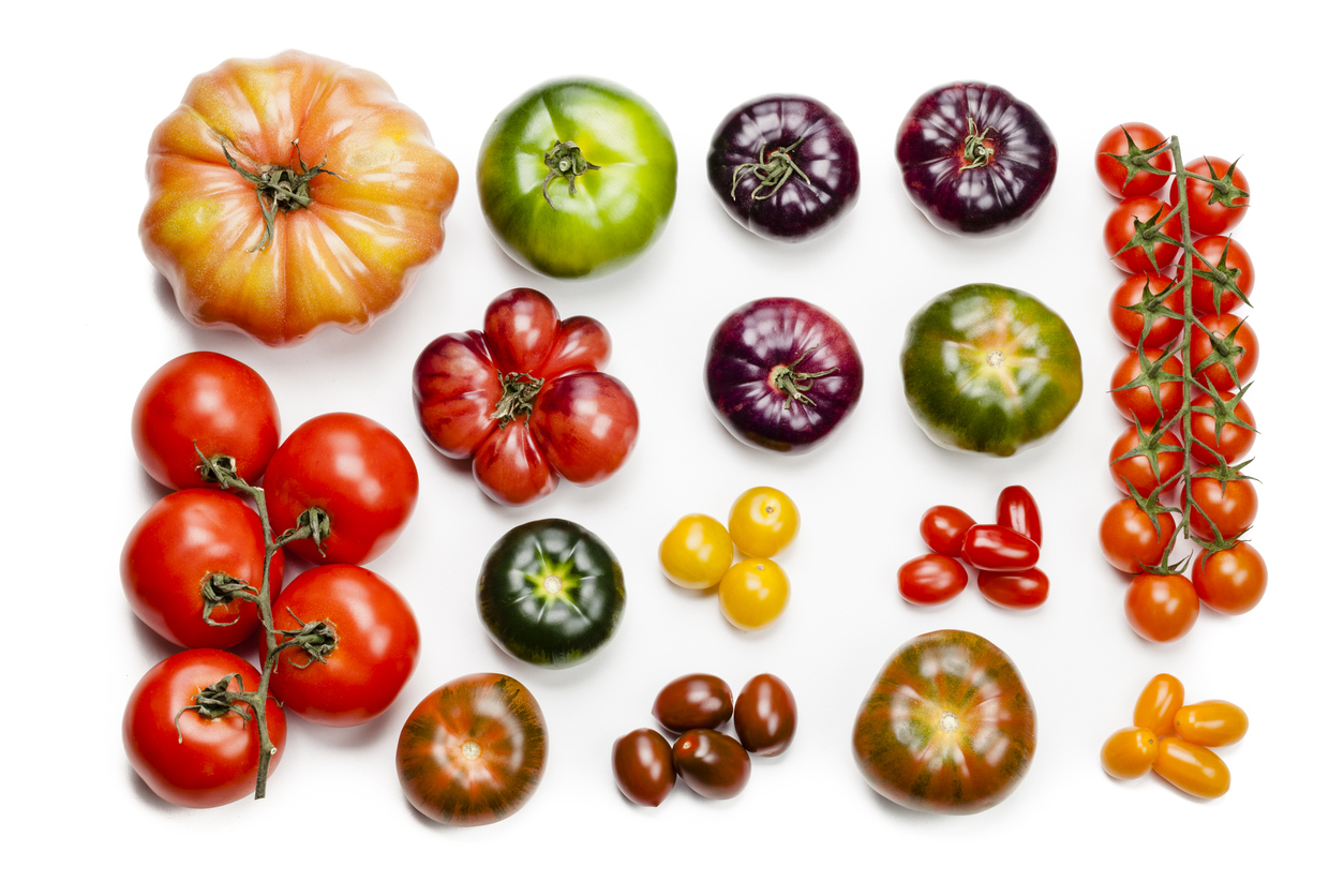 La tomate manque à l’appel et se négocie à des prix exorbitants