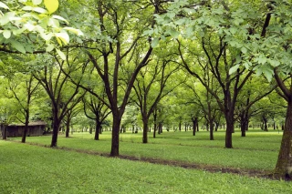 La fusion des FDGedon est enclenchée