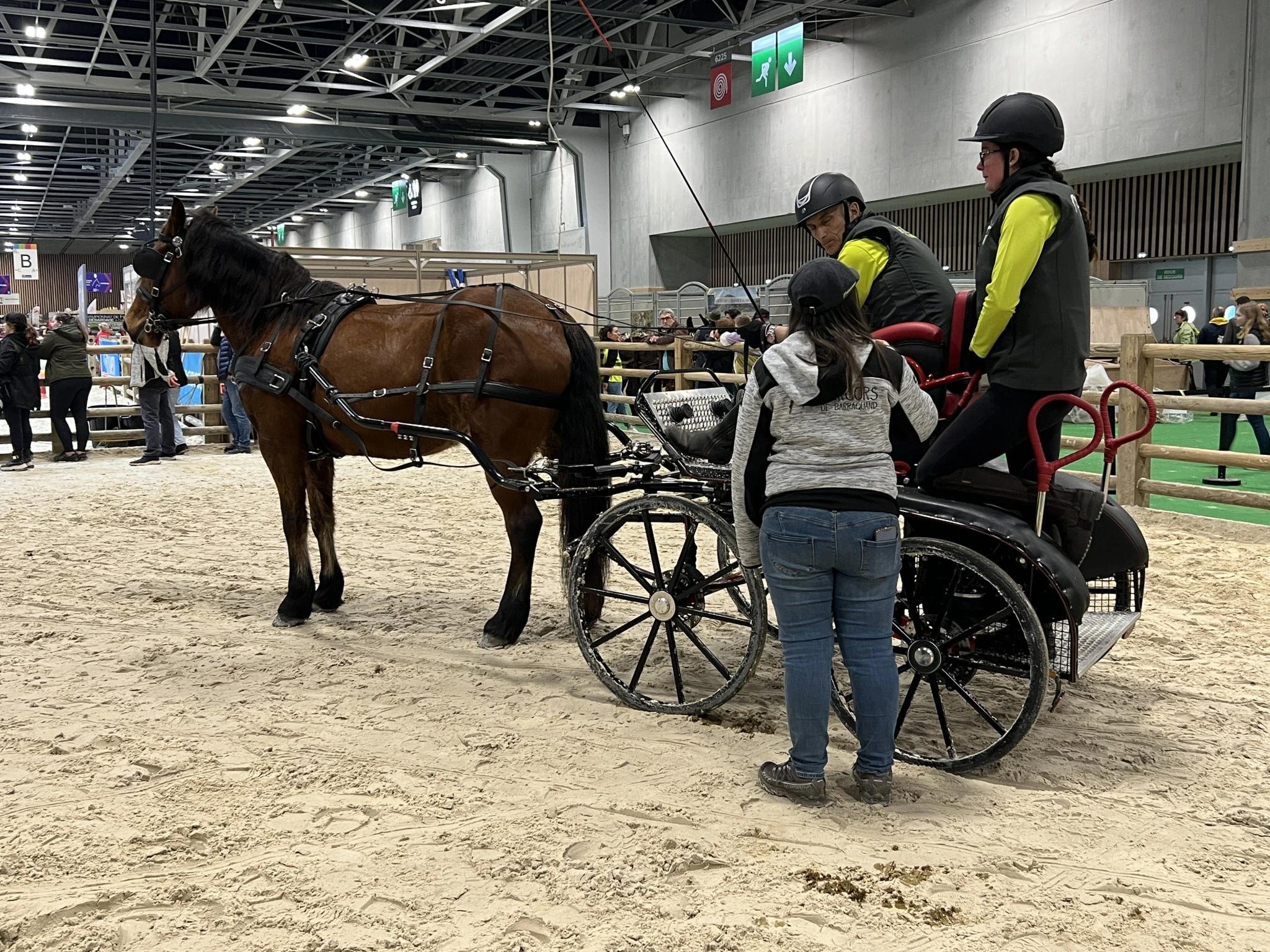 Programme des animaux en concours et en présentation 