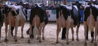 Pluie de médailles iséroises au Concours général agricole