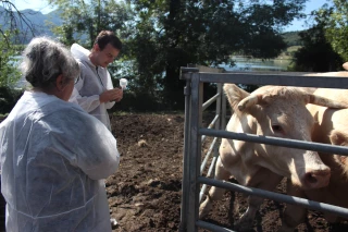 L'Edito de Patrick Cohen : le bon sens a encore frappé
