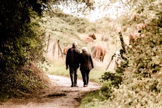 Après 67 ans, l'agriculteur choisira entre aide PAC et retraite  