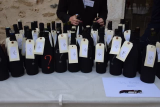 Deux salons et un concours