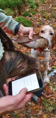 Ouverture et fermeture de la chasse en Isère
