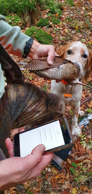 Ouverture et fermeture de la chasse en Isère