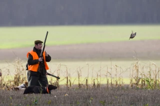 Des règles pour une bonne gestion de la chasse