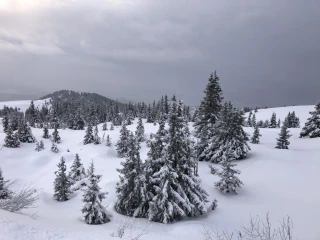 Coup de froid en soirée en Isère