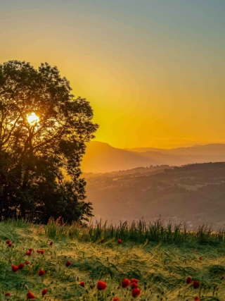 Printemps dans les terres 