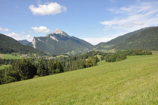 L'AAC se réunira le 1er février