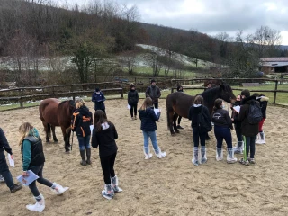 A l'occasion du concours équin du CJAJ, les jeunes ont pointé le cheval du Vercors de Barraquand