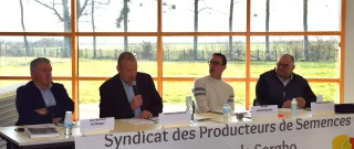 La France championne d’Europe du maïs semence et du sorgho