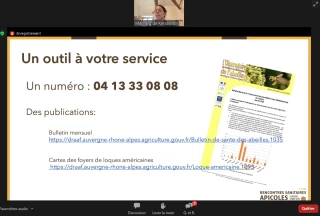 Un seul numéro pour tous les troubles des abeilles