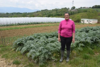 Au bonheur des légumes