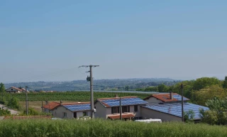 FDSEA et JA vent debout contre les installations au sol