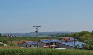 FDSEA et JA vent debout contre les installations au sol