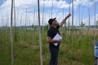 Croissance du chevreuil dans le Nord-Isère