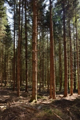 La massification s’étend à Brocharin