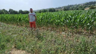Il était en agriculture raisonnée. Il passe en HVE 3.