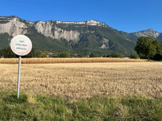 Des récoltes précoces 