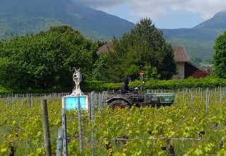 Du Domaine Labbé à « Terres de 1248 » : un héritage préservé