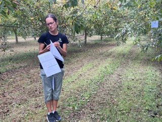 Des alternatives au glyphosate