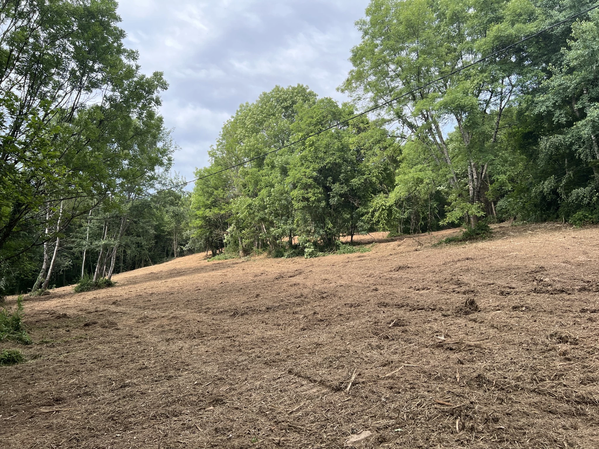 La reconquête agricole en chiffres