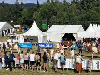 L'agriculture au centre