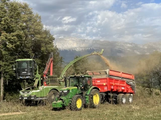 Des plaquettes pour pallier la paille