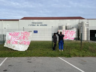 « Nous perdons de l’argent en travaillant »
