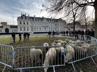 Poursuite des permanences agricoles multi-administrations