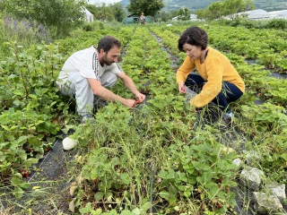 Se faire une place dans son territoire