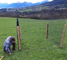 En Isère, les dégâts de gibier restent importants