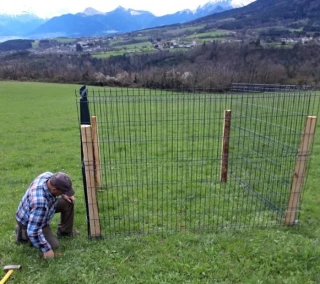 En Isère, les dégâts de gibier restent importants